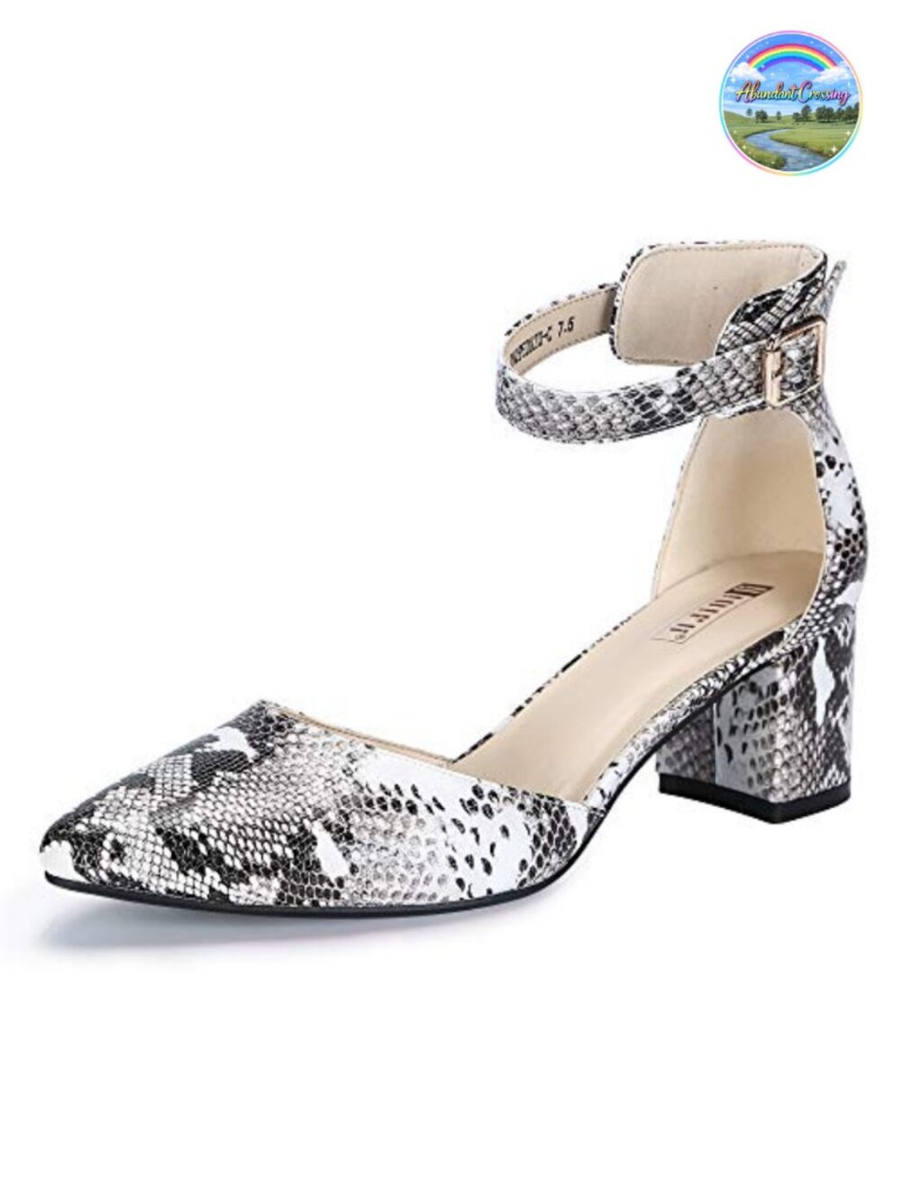 Chunky Low Block Heel Pumps Ankle Strap Pointed Toe Dress Shoes for Wedding
